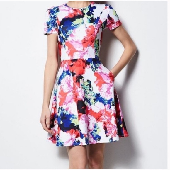 Milly For Design Nation Rosabella Fit and Flare l Dress 14 - Picture 1 of 7